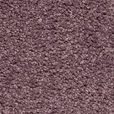 Horizon Carpet
Gentle Approach